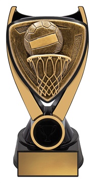 nv937a_discount-netball-trophies.jpg