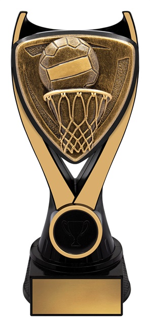 nv937a_discount-netball-trophies.jpg