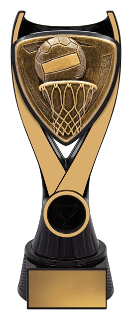 nv937a_discount-netball-trophies.jpg