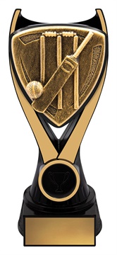 nv940b_discount-cricket-trophies.jpg