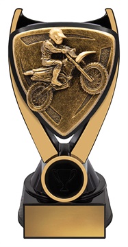 nv968a_discount-general-sports-trophies.jpg