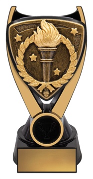 nv995a_discount-general-sports-trophies.jpg