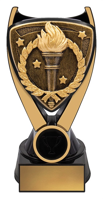 nv995a_discount-general-sports-trophies.jpg