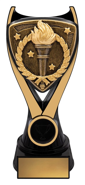 nv995a_discount-general-sports-trophies.jpg