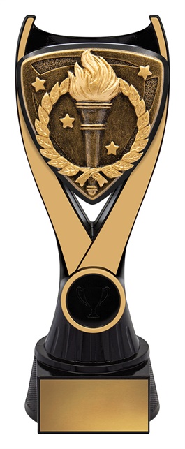 nv995a_discount-general-sports-trophies.jpg