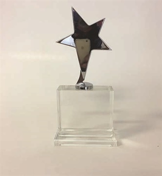 oe050_crystal-trophy.jpg