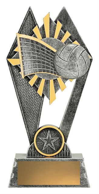 p227a_discount-volleyball-trophies.jpg