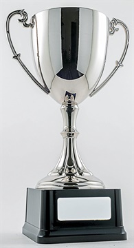 pcy1001_discount-cup-trophies.jpg