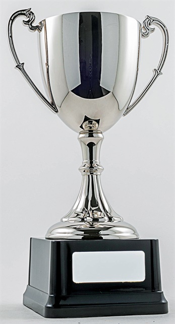 pcy1001_discount-cup-trophies.jpg