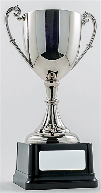 pcy1001_discount-cup-trophies.jpg