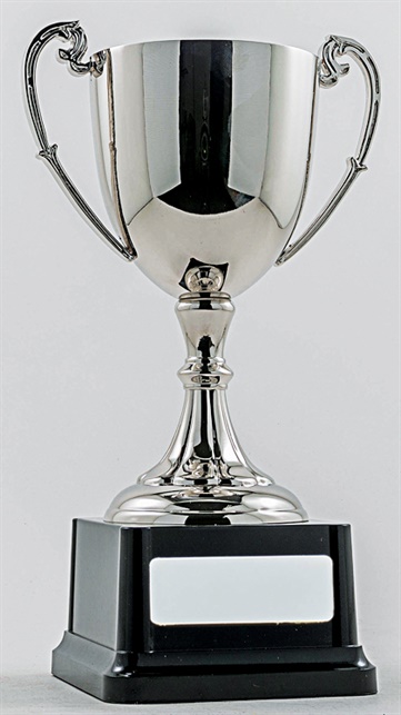 pcy1001_discount-cup-trophies.jpg