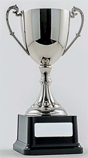 pcy1001_discount-cup-trophies.jpg