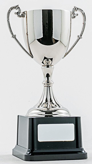 pcy1001_discount-cup-trophies.jpg