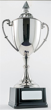 pcy1101_discount-cup-trophies.jpg