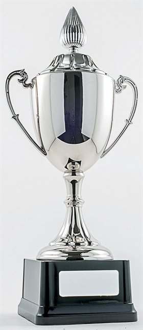 pcy1101_discount-cup-trophies.jpg