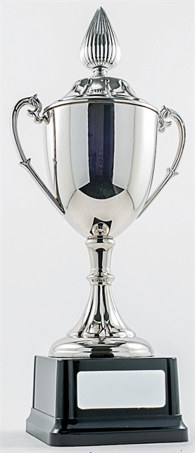 pcy1101_discount-cup-trophies.jpg