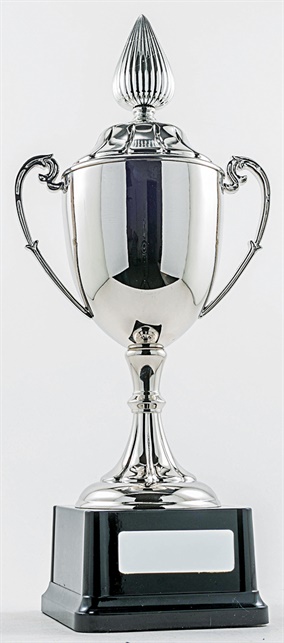 pcy1101_discount-cup-trophies.jpg