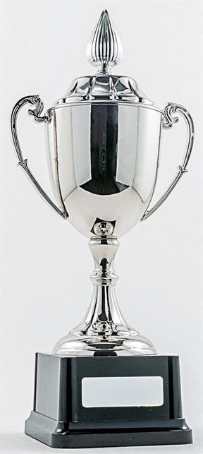 pcy1101_discount-cup-trophies.jpg