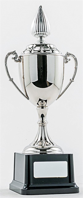 pcy1101_discount-cup-trophies.jpg