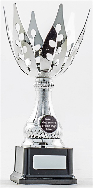 pcy1201_discount-cup-trophies.jpg