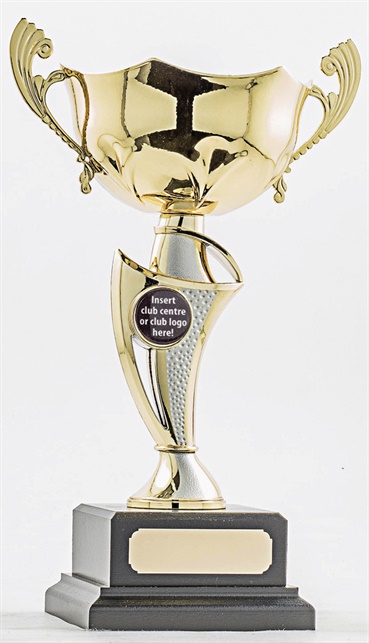 pcy1204_discount-cup-trophies.jpg