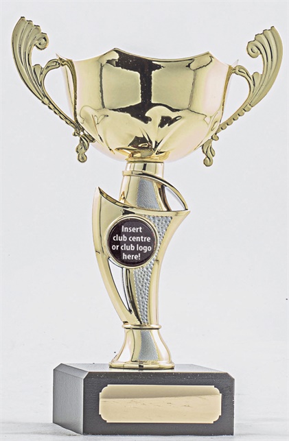 pcy1204_discount-cup-trophies.jpg