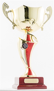 pcy1301_discount-cup-trophies.jpg