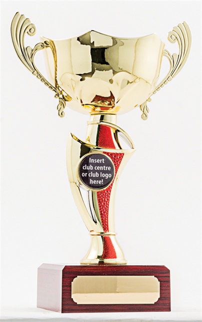 pcy1301_discount-cup-trophies.jpg