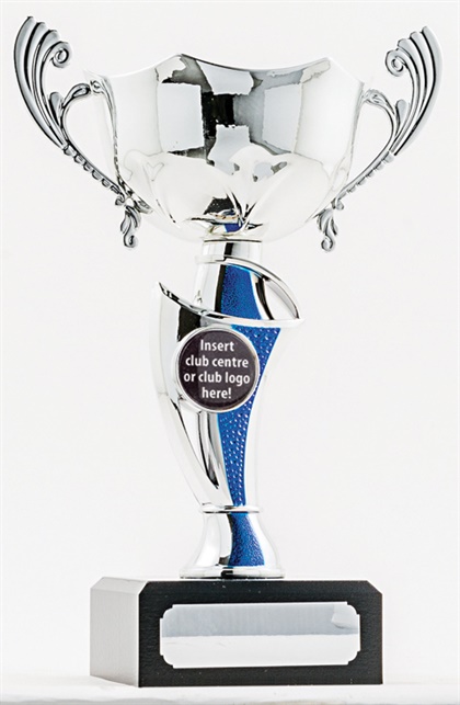 pcy1306_discount-cup-trophies.jpg