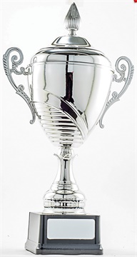 pcy401_discount-cup-trophies.jpg