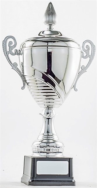 pcy401_discount-cup-trophies.jpg