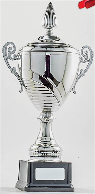 pcy401_discount-cup-trophies.jpg