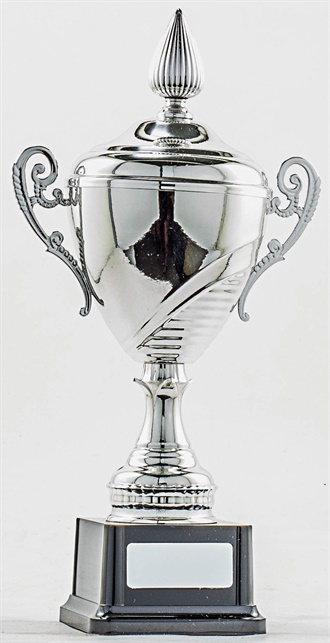 pcy401_discount-cup-trophies.jpg