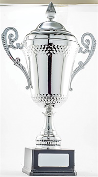 pcy601_discount-cup-trophies.jpg