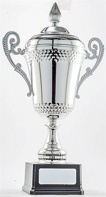 pcy601_discount-cup-trophies.jpg