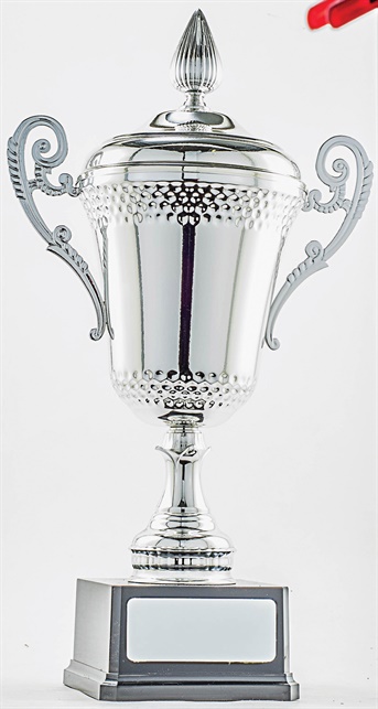 pcy601_discount-cup-trophies.jpg