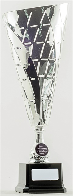 pcy701_discount-cup-trophies.jpg
