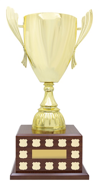 perp08_discount-general-sports-trophies.jpg