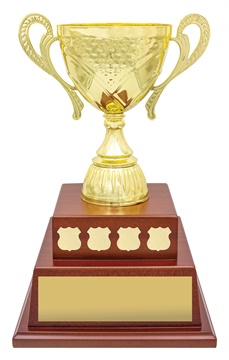 perp10_discount-general-sports-trophies.jpg