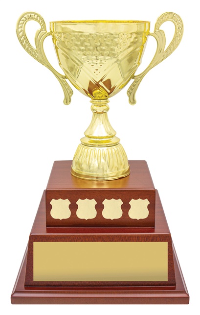 perp10_discount-general-sports-trophies.jpg