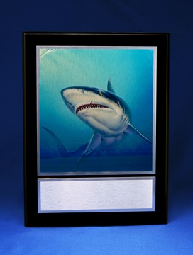 pfp-300-shark_shark-fishing-plaque-on-black--1.jpg