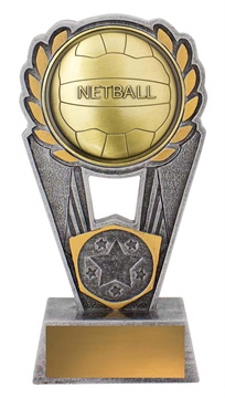 pls191a_discount-netball-trophies.jpg