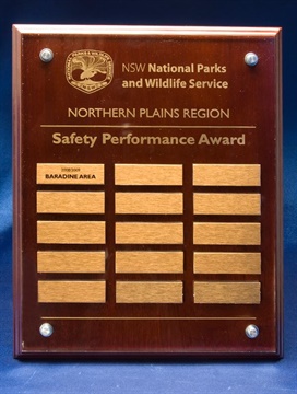 ppa11_perpetual-award.jpg