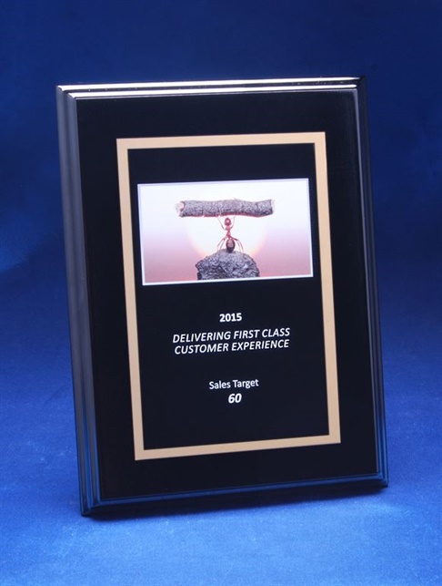 PS2W_AwardPlaque.jpg