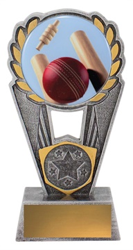 psc401a_discount-cricket-trophies.jpg