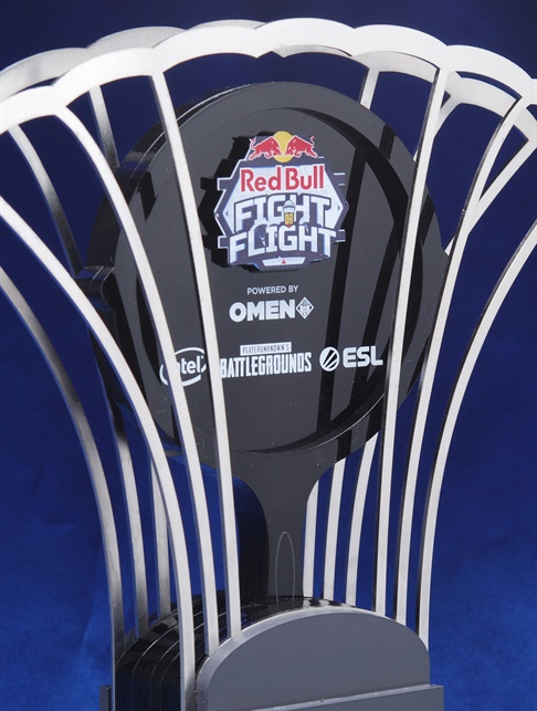 redbull-fight-or-flight_custom-redbull-trophy.jpg