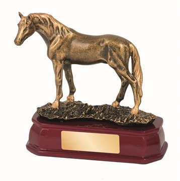 rf4827a_discount-horse-trophies.jpg
