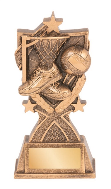 rgl153a_discount-netball-trophies.jpg