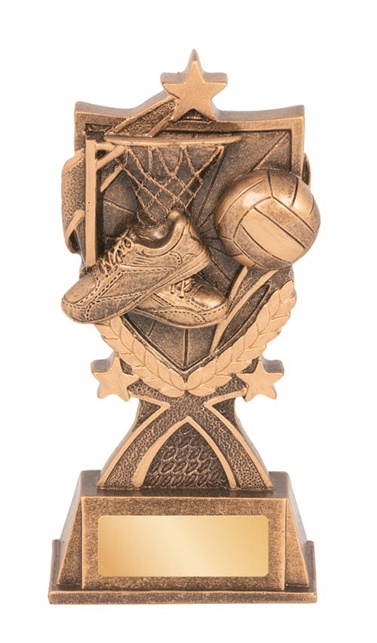 rgl153a_discount-netball-trophies.jpg