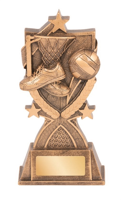 rgl153a_discount-netball-trophies.jpg